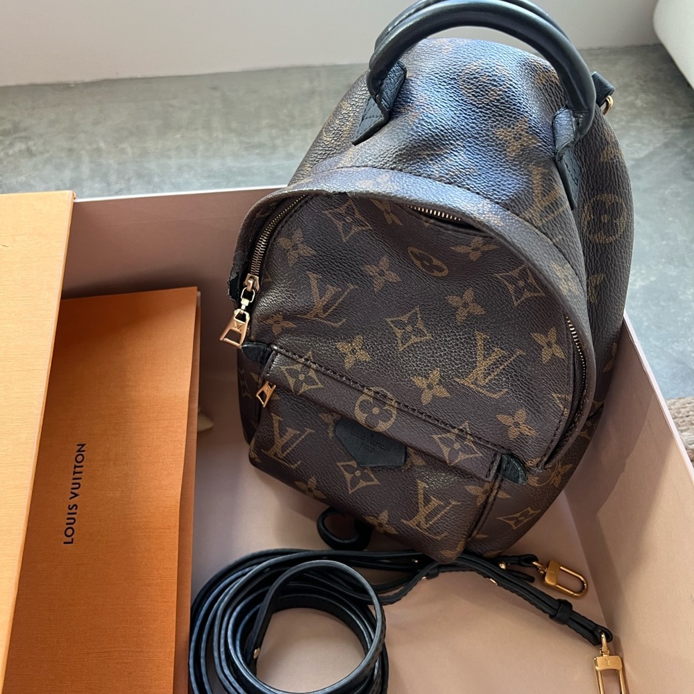 LV Palm Springs Backpack